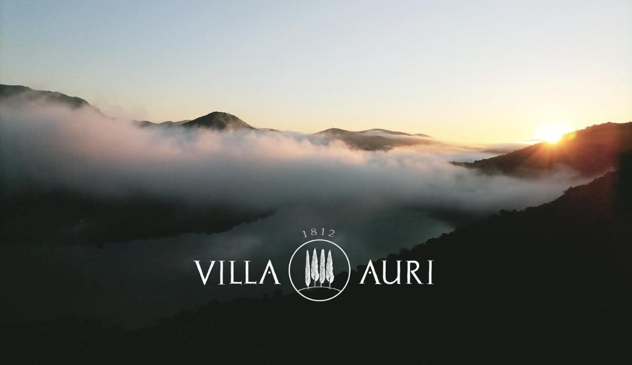 וילה נובה דה פוז קואה Villa Auri מראה חיצוני תמונה