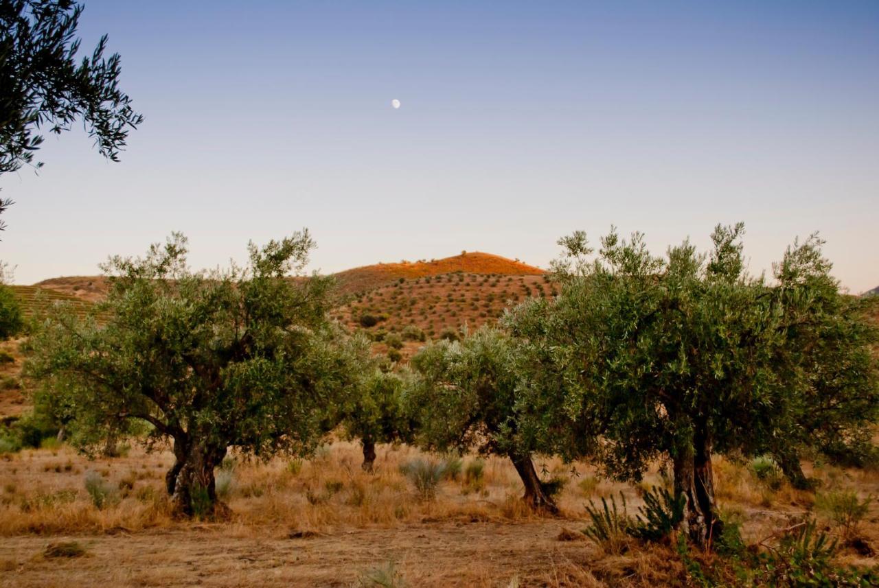 וילה נובה דה פוז קואה Villa Auri מראה חיצוני תמונה